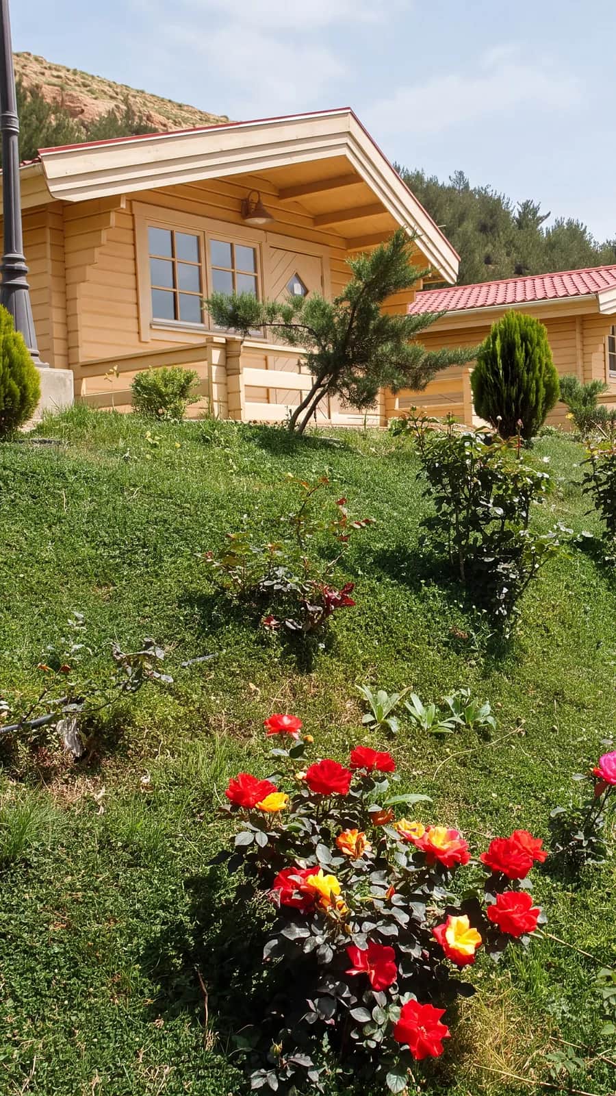Wooden cabins on a green slope, with roses and hills around the village.
