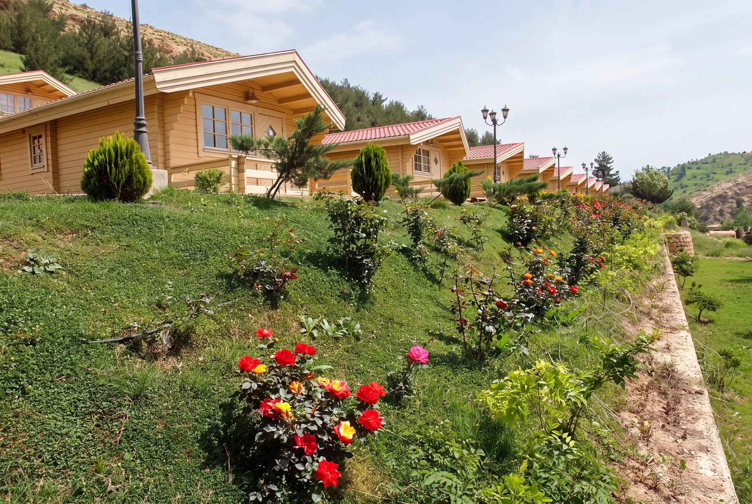 Wooden cabins on a green slope, with roses and hills around the village.