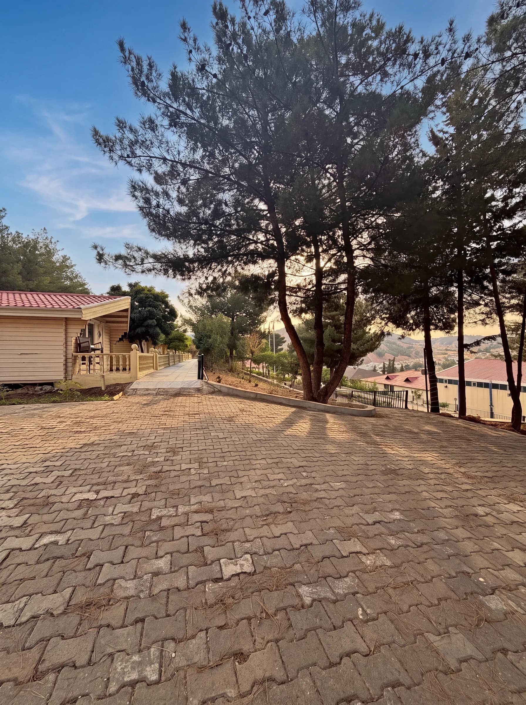 The paved parking area among pine trees beside a cabin